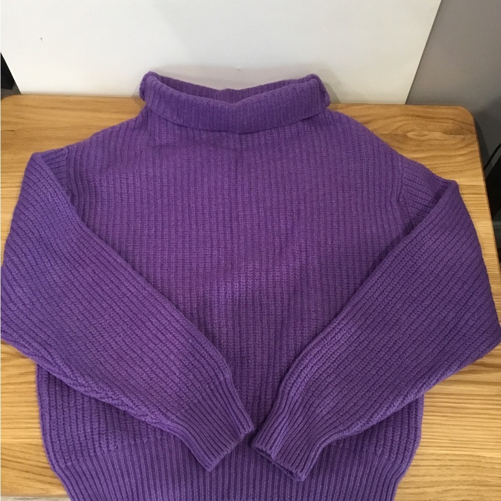 Wilfred 100% Merino Wool Knit Loose Turtleneck
